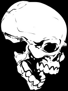 skull  3 