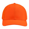 3D Buck Pro Cap