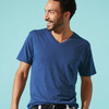 Men's Triblend V-Neck Tee